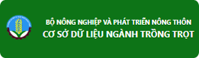 CỤC TRỒNG TRỌT QUẢN LÝ BẰNG BẢO HỘ