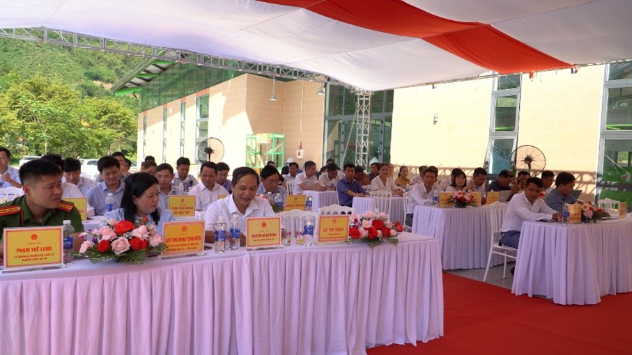 picture11.jpg
