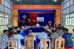 Đẩy mạnh chuyển giao kỹ thuật, nâng cao hiệu quả phát triển sâm Ngọc Linh và cây Quế tại các xã vùng cao