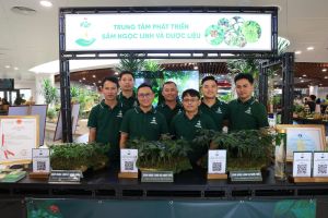 Trung tâm Phát triển Sâm Ngọc Linh và Dược liệu: Khẳng định chất lượng nguồn giống tại Lễ hội Sâm Quốc tế 2026