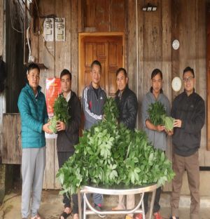 Trung tâm Phát triển Sâm Ngọc Linh và Dược liệu nỗ lực bảo tồn và phát triển “Quốc bảo”