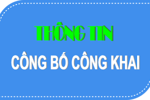 CÔNG KHAI NỘI DUNG TIẾP THU, GIẢI TRÌNH Ý KIẾN GÓP Ý DỰ THẢO QUYẾT ĐỊNH CỦA UBND THÀNH PHỐ