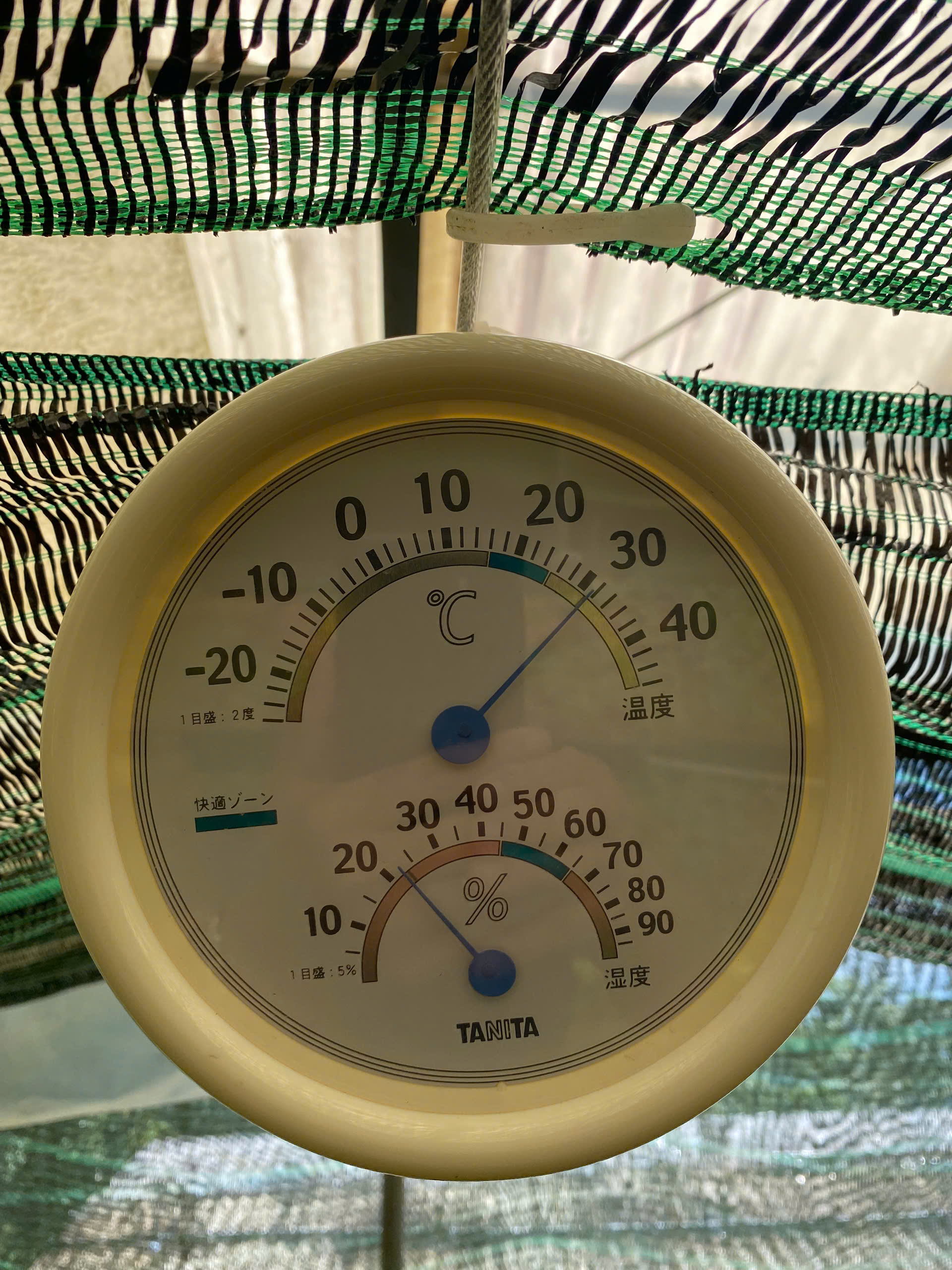 z7709597935198-67702ba04373c9810511544cc15c9dc4.jpg