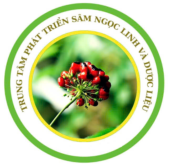 TRUNG TÂM PHÁT TRIỂN SÂM NGỌC LINH VÀ DƯỢC LIỆU
